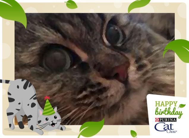 stavate parlando di me?