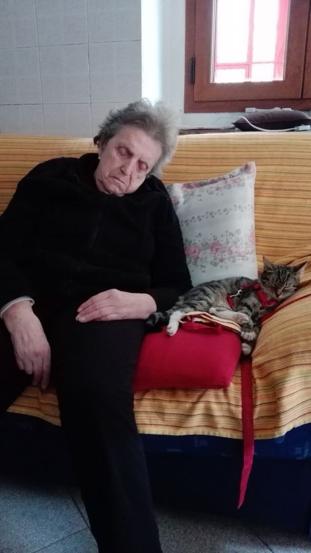 Dormiamo allo stesso modo