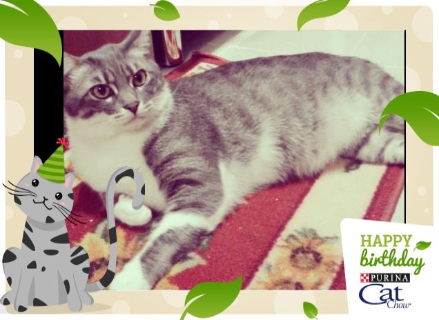 SWIFFER...IL VENDITORE DI TAPPETI