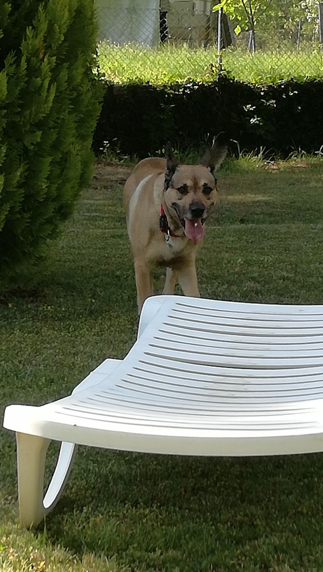 Quasi quasi mi sdraio