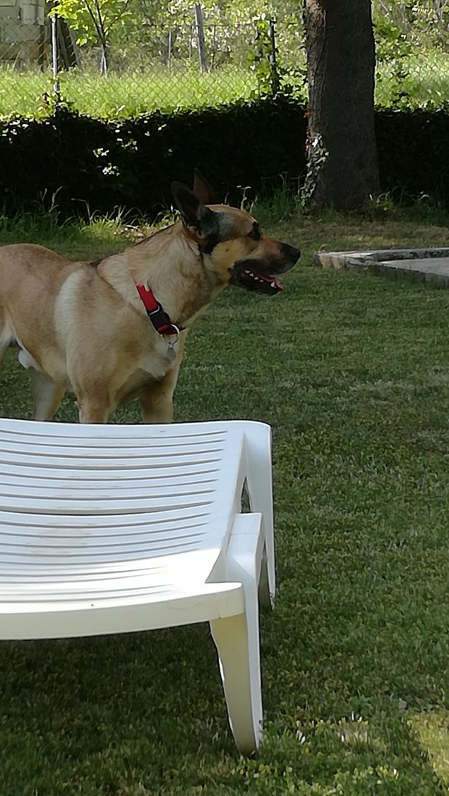 Una bella abbronzatura.