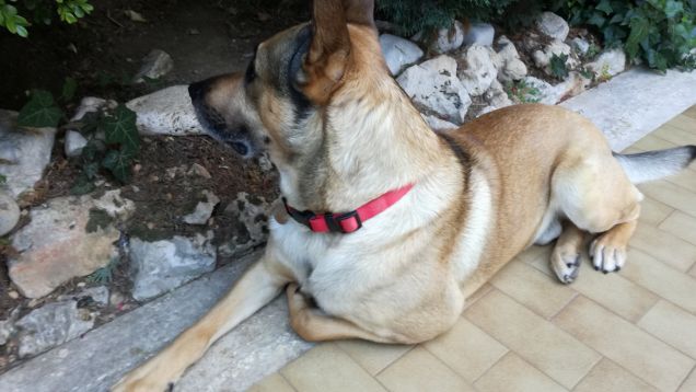 what’s there above the clouds?