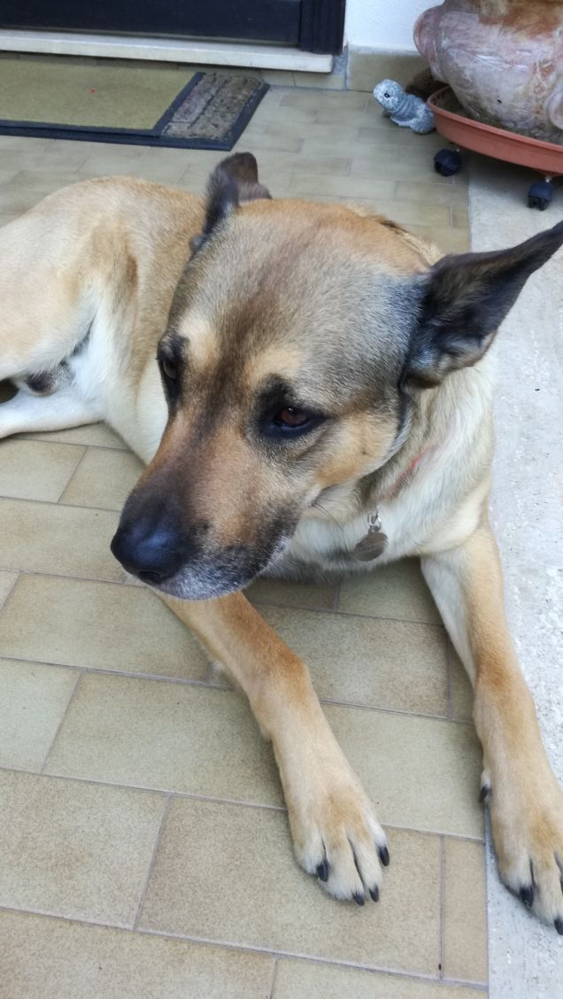 Would you like to pose for me?