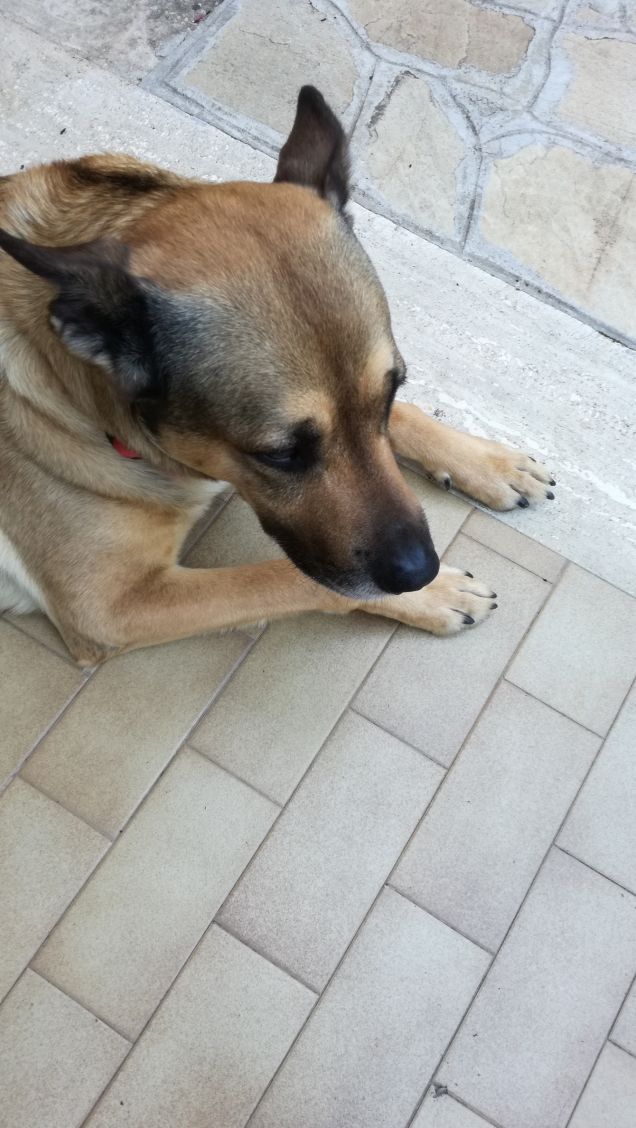 Which is your area of interest?