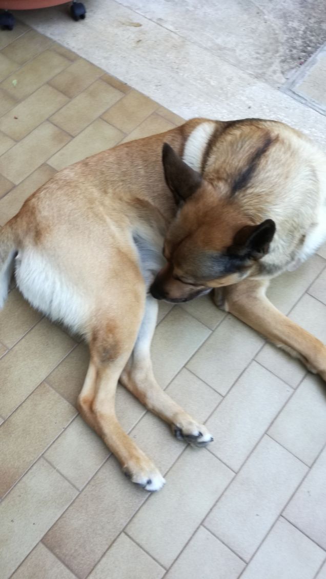 The king is just arrived, hurry up!