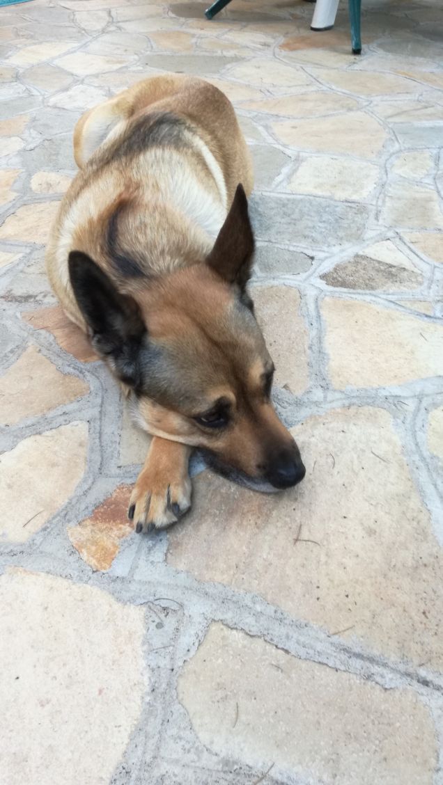 t’s hundred percent love