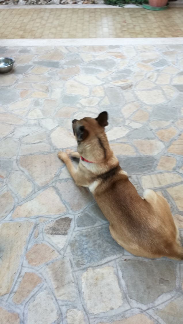 Hold on and you will reach your scope