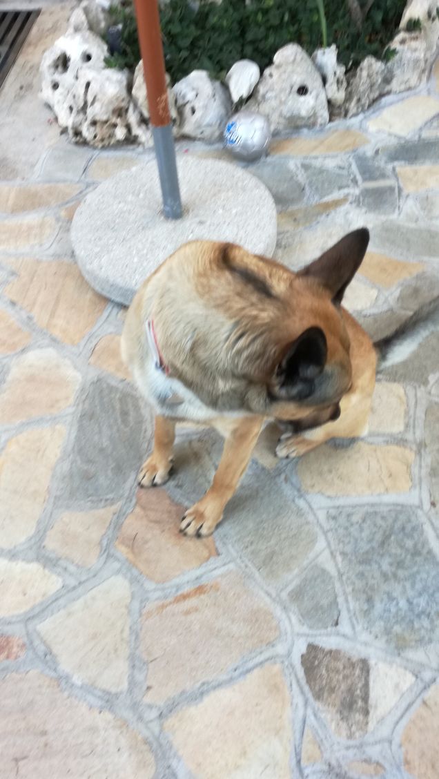 This morning the air was cold