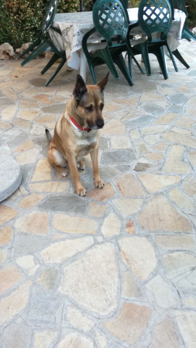 If you want to play you need to know the rules