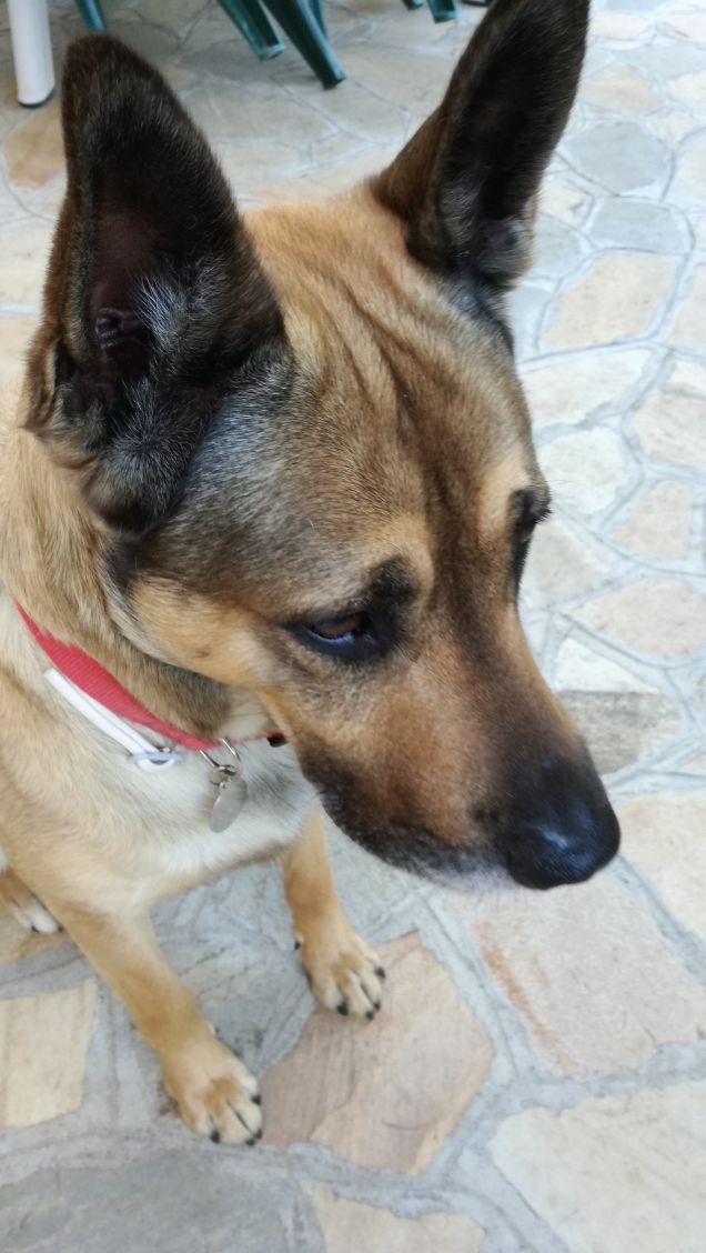 This road seems like the one where I leave