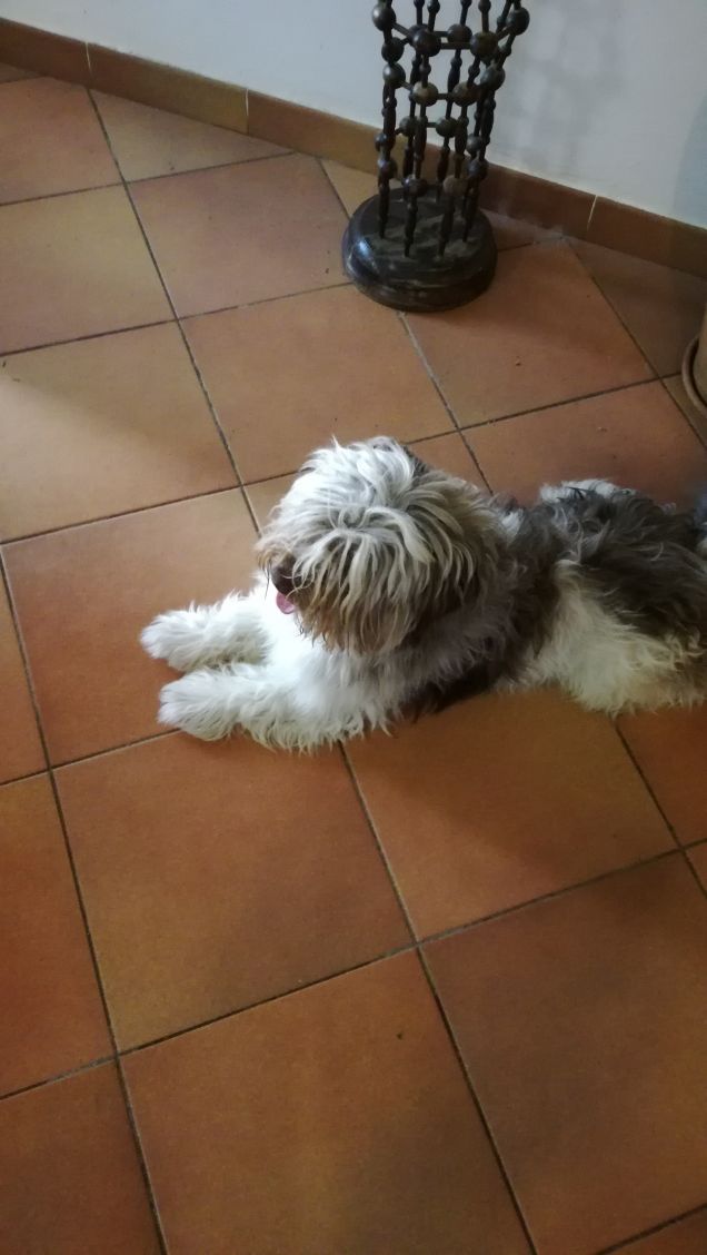 Aggiungi un posto a tavola