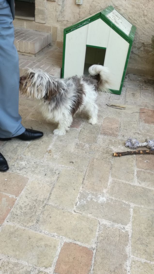 Sono un ragazzo fortunato.