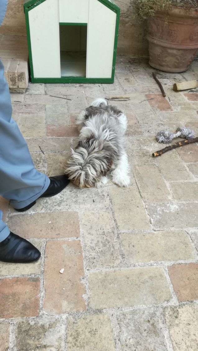 Che ne sarà di.......