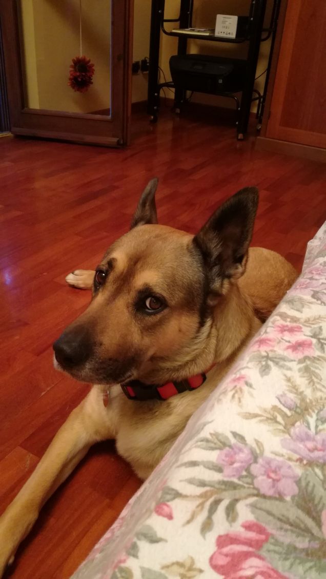 sento e dimentico. vedo e ricordo. faccio e capisco.