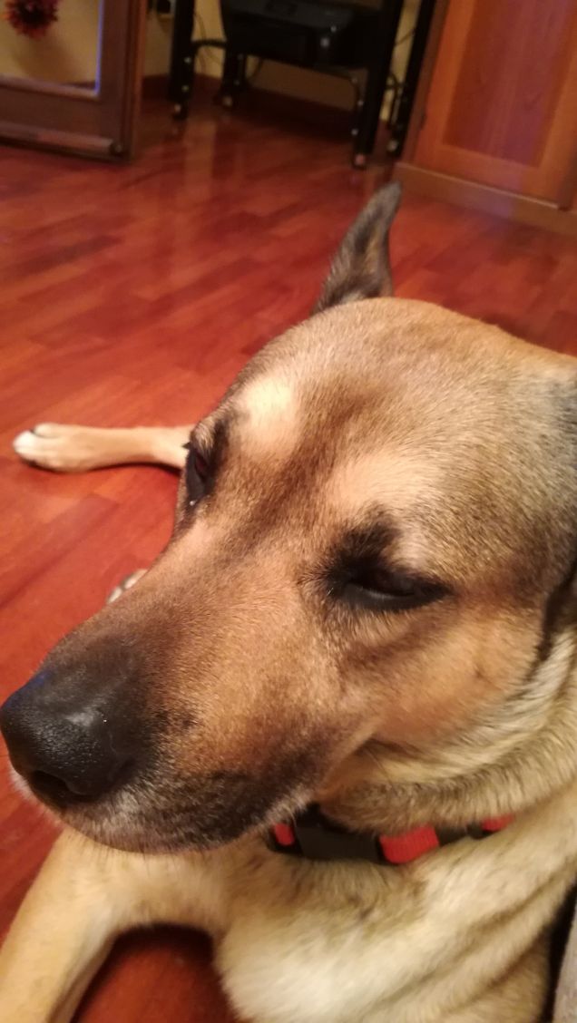 è necessario molto poco per rendere una vita felice.