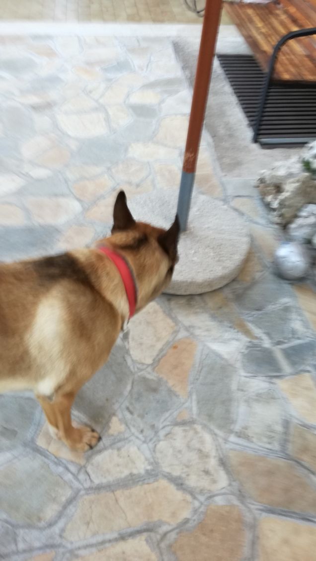 niente di grande è stato mai ottenuto senza entusiasmo