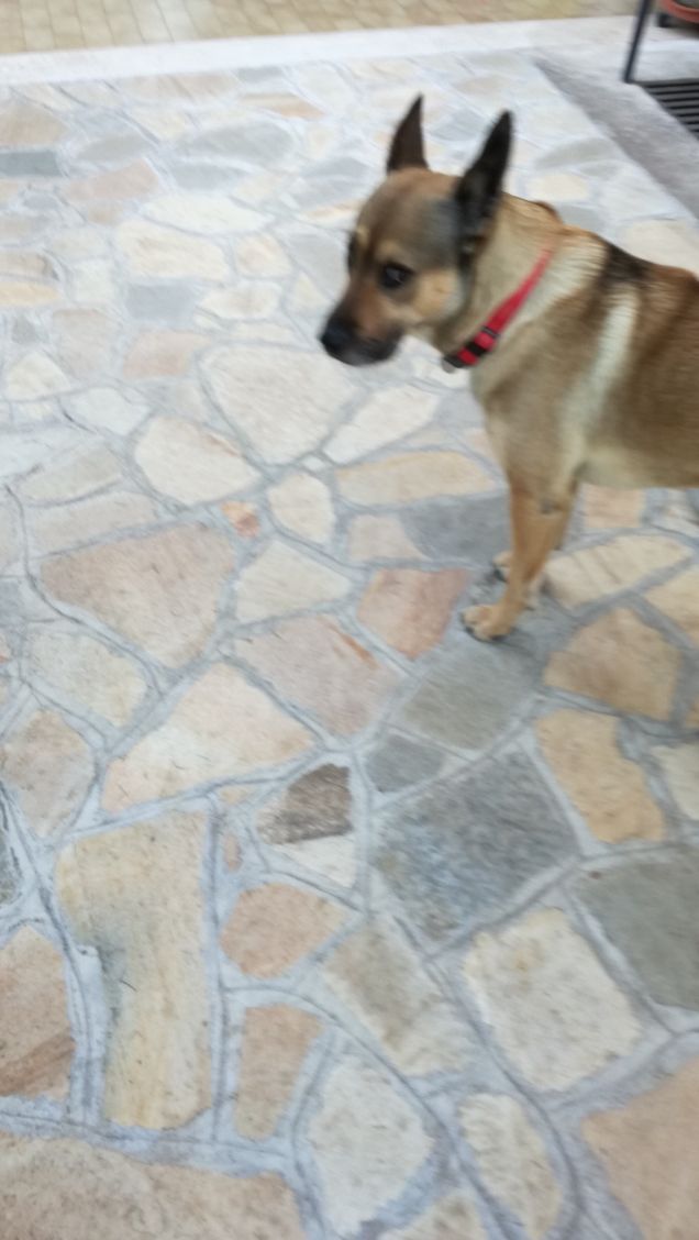 Il segreto della felicità è la libertà. 