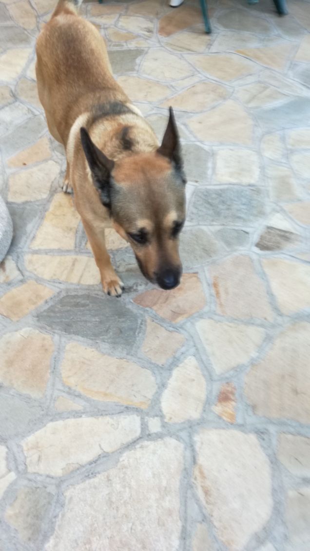 ’essere umano più felice è quello nel cui animo non vi è alcuna traccia di cattiveria.