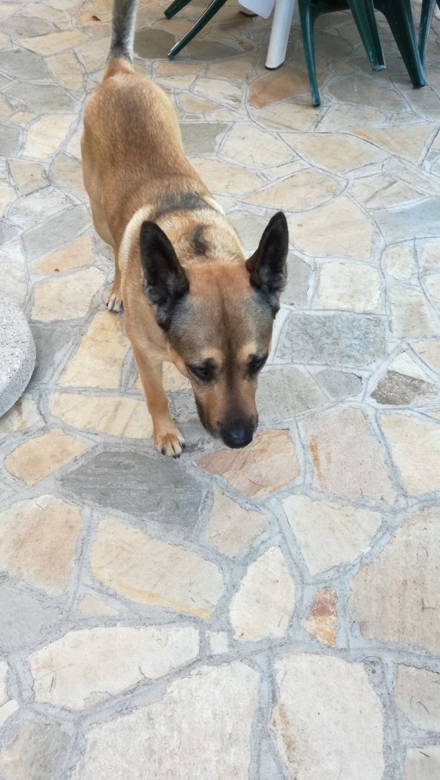 La felicità è quella cosa che si moltiplica nel momento in cui viene condivisa.