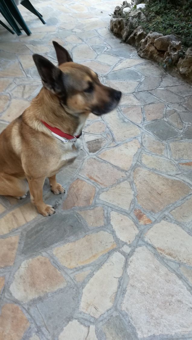 Io ho deciso. Non voglio avere ragione.