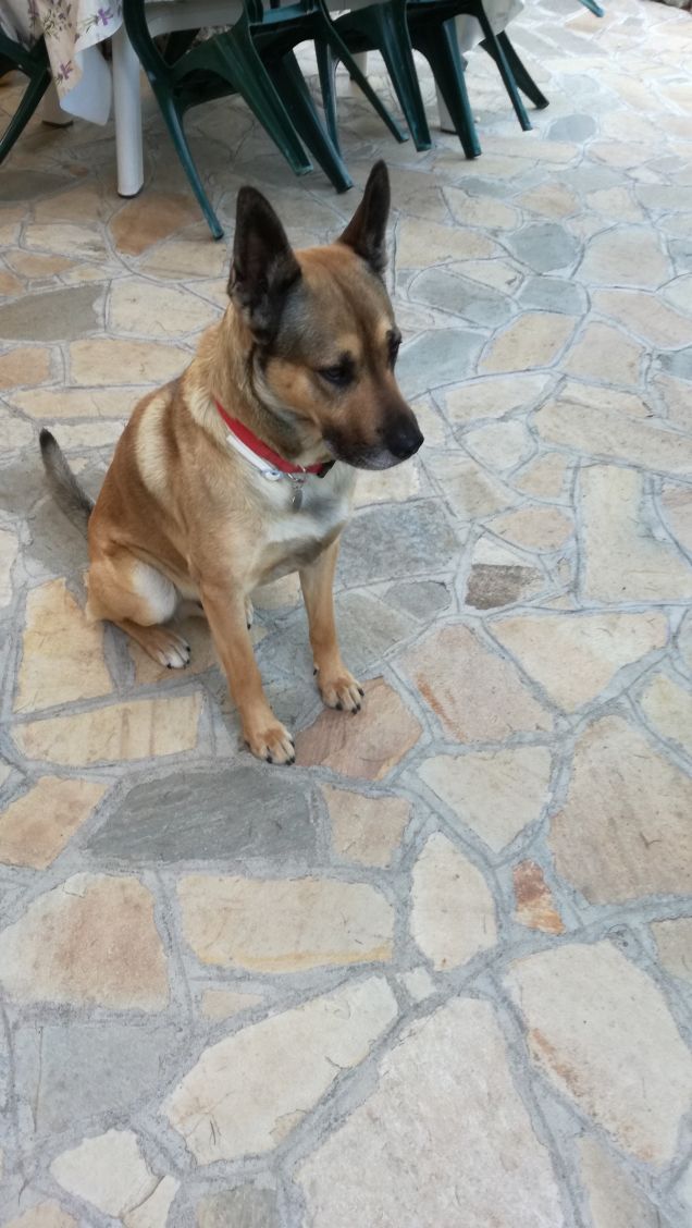 Un amico nel bisogno è un amico per davvero.