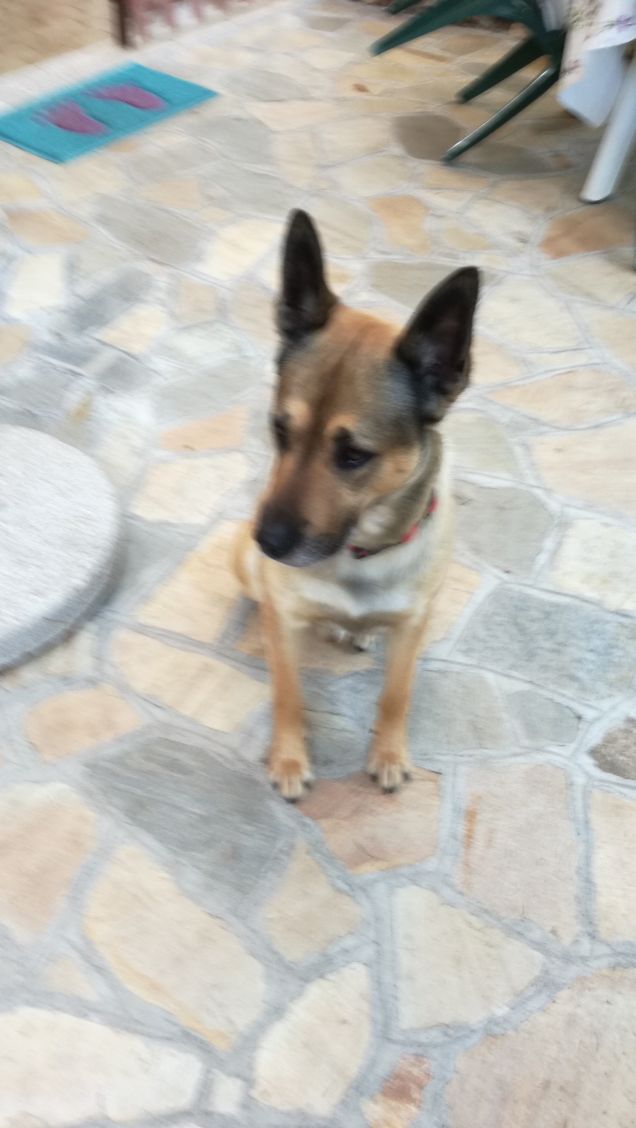 chi non cerca amici è nemico di se stesso