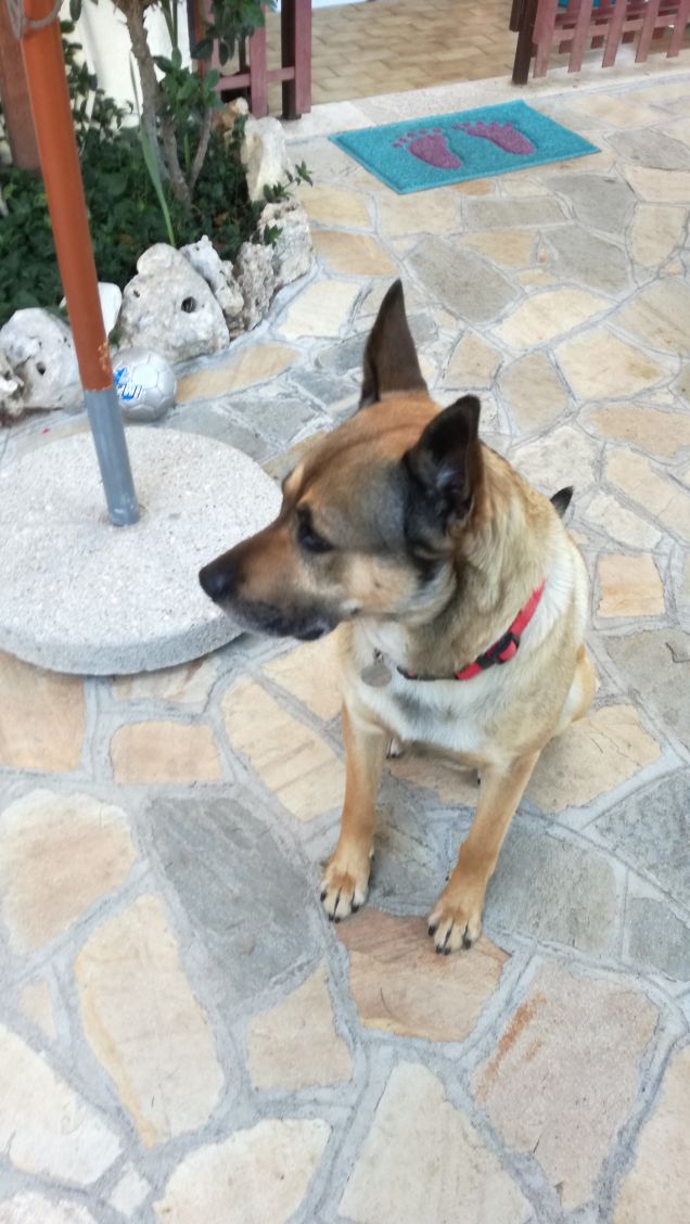 è meglio essere in catene con amici, che essere in un giardino con degli estranei.