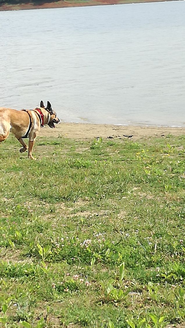 Finché gli uomini crederanno nell'infinito, alcuni laghi saranno creduti senza fondo.