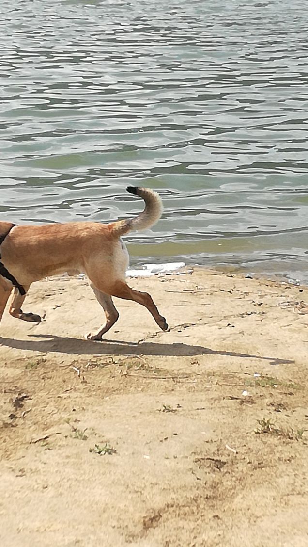 Un lago profondo, calmo e trasparente