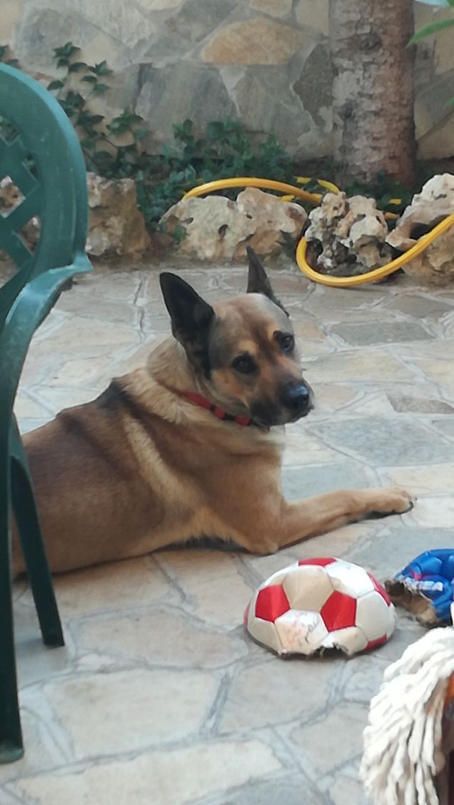  Le persone si dividono in simpatiche e antipatiche