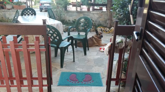 Non è che sono antipatico. La mia si chiama simpatia selettiva.