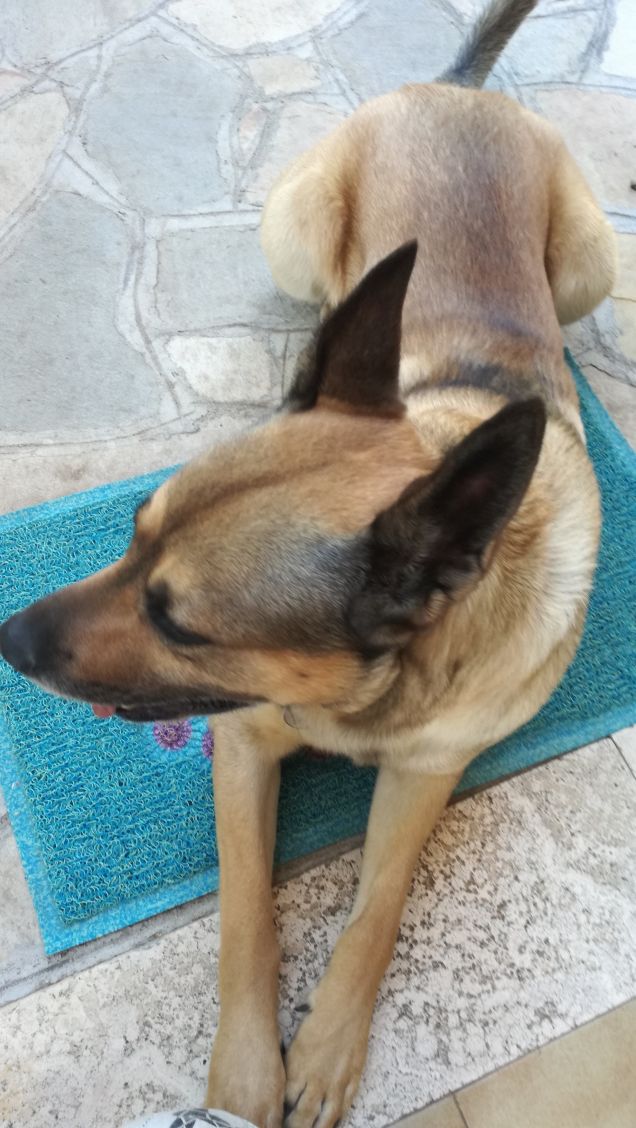 Io sono sempre operativo.