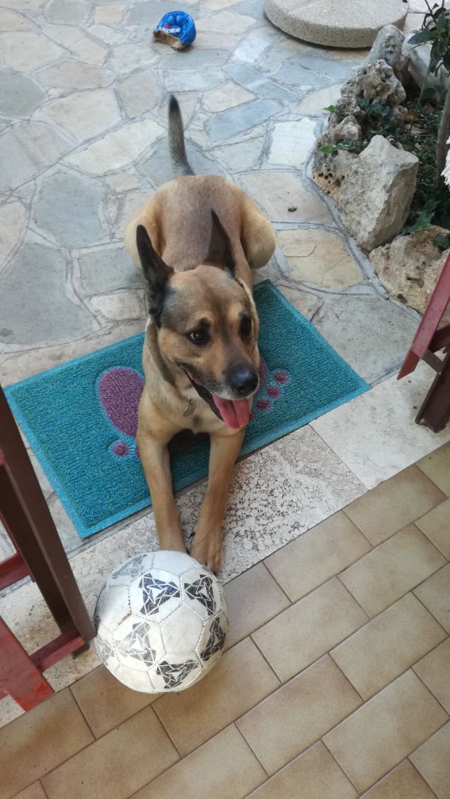 Quando i rullini li pagavi col cavolo che ti mettevi a fotografare