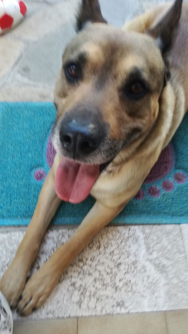 amo il sole che scende 