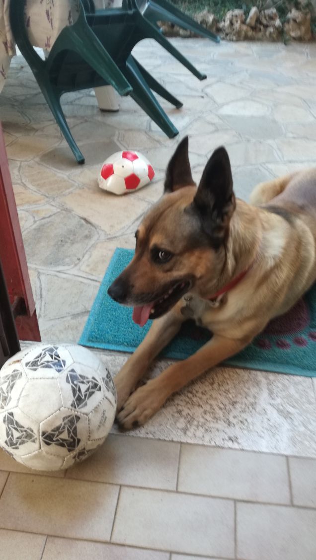 L’amore è come l’aria condizionata, lo sai che fa male ma la spari sempre al massimo.