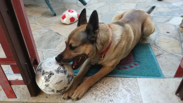 La gente pretende di avere in casa d’estate le temperature che ci sono fuori d’inverno