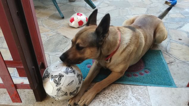 Lontano dagli occhi, lontano dal cuore.