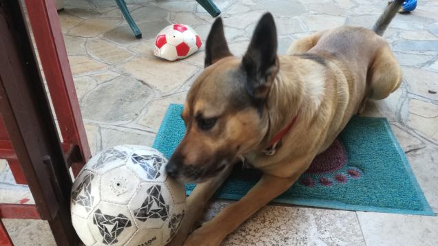 Vado a prendere una boccata d’aria