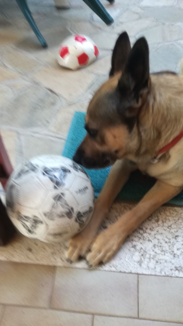 Se resti senza parole è lo stupore