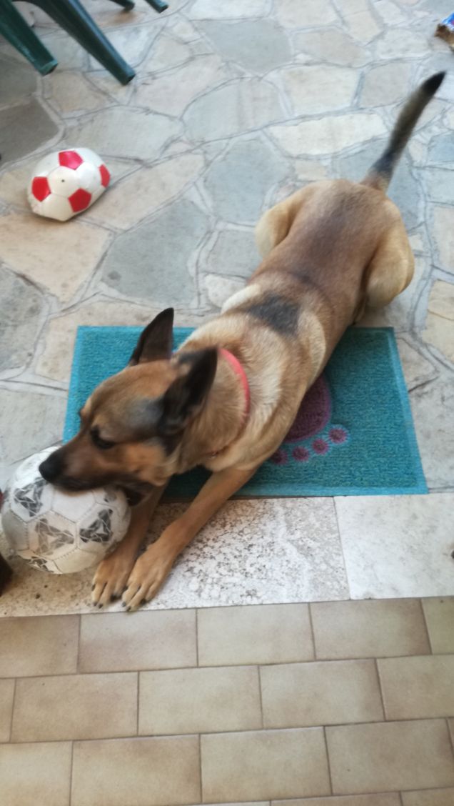 Ce la faremo ancora.