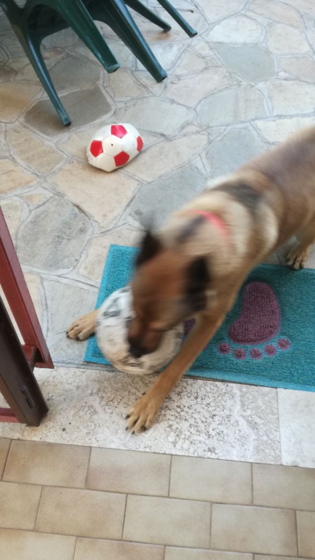 Oggi il surriscaldamento climatico aggrava la situazione