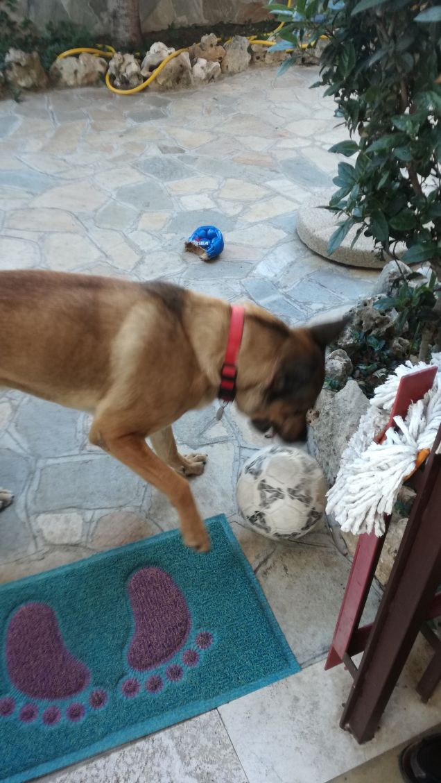 Ricordati sempre che sei assolutamente UNICO