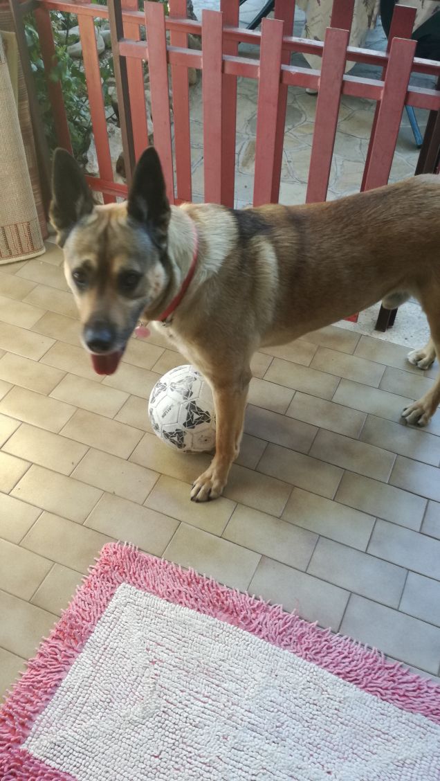 Apprezzami adesso, eviterai la coda