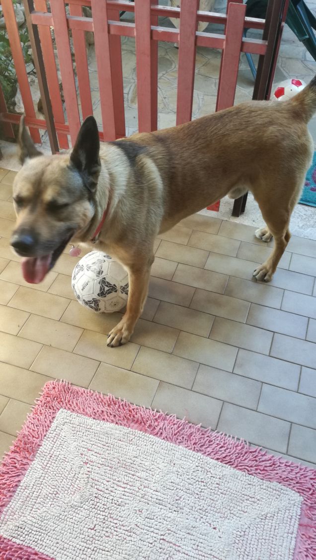 La tua anima gemella è là fuori.