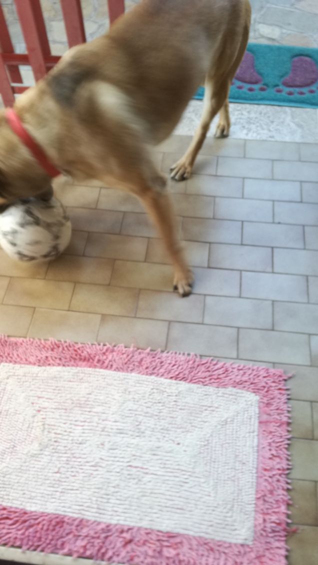 niente nella vita ha un senso.