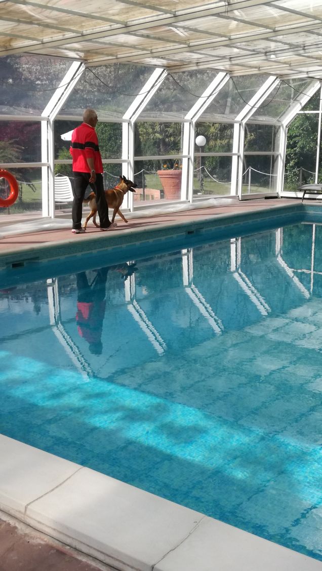 Un bel tuffo lo farei.