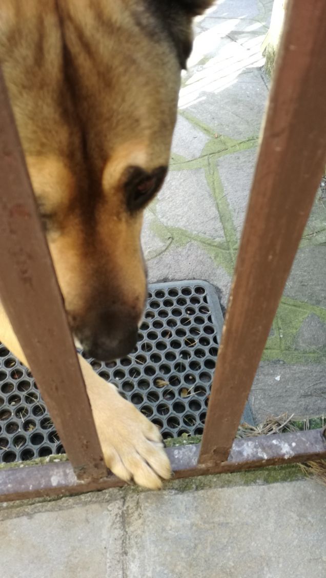 Siamo caduti in basso1