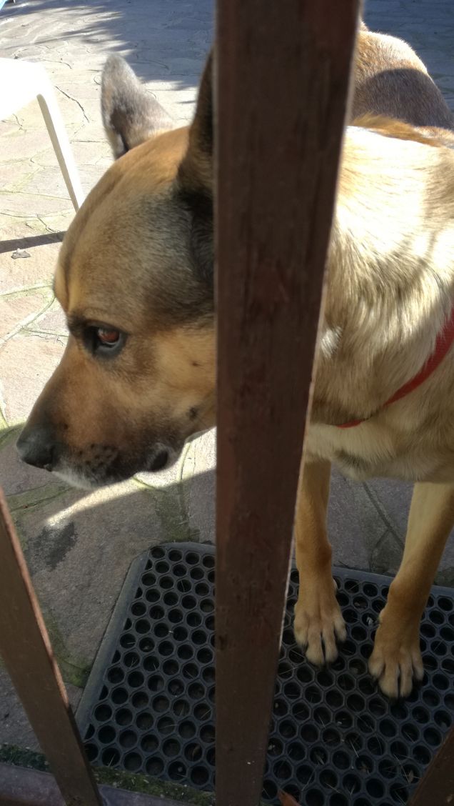 Siamo caduti in basso2