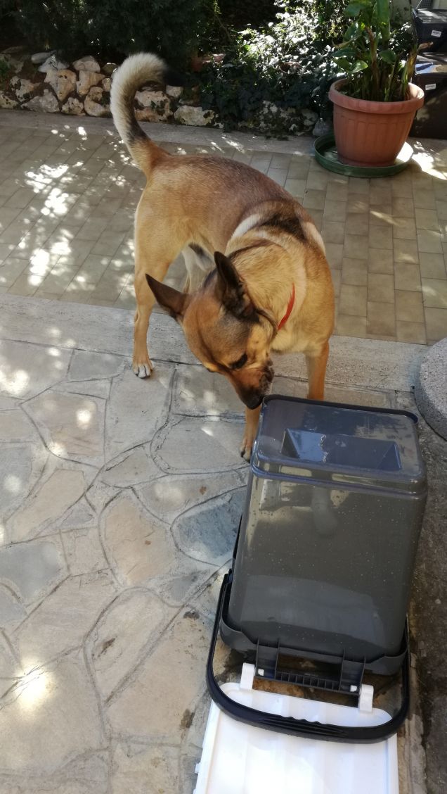 Siamo caduti in basso4