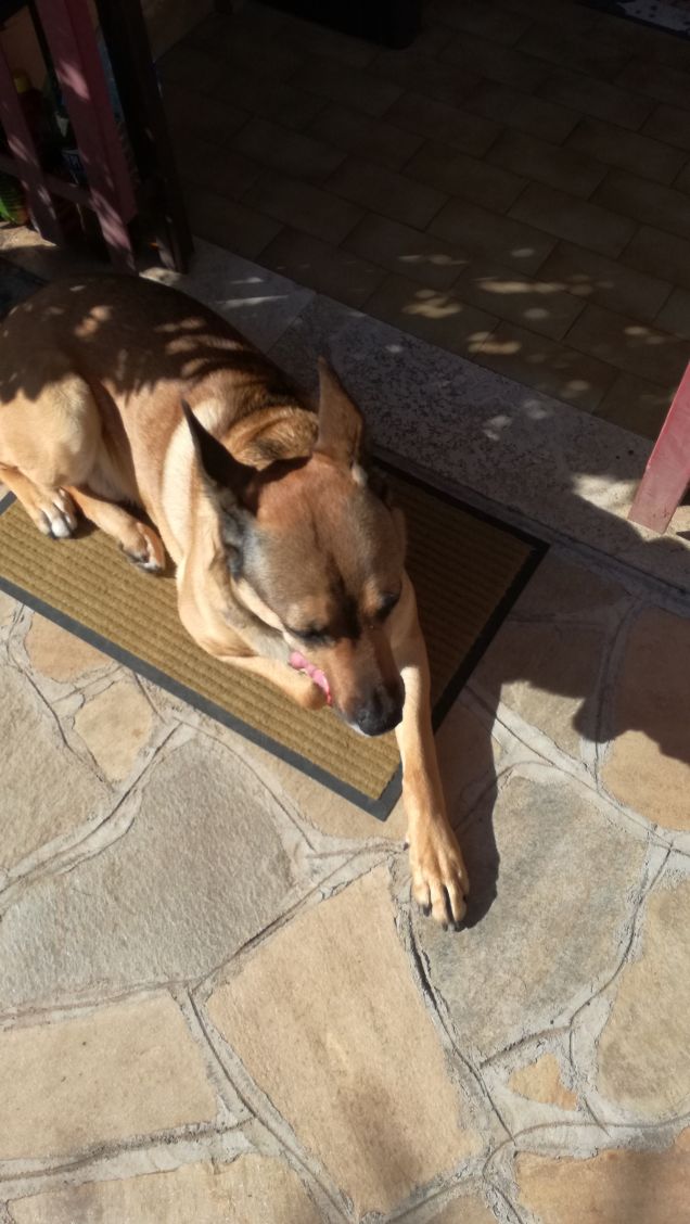 Siamo caduti in basso6